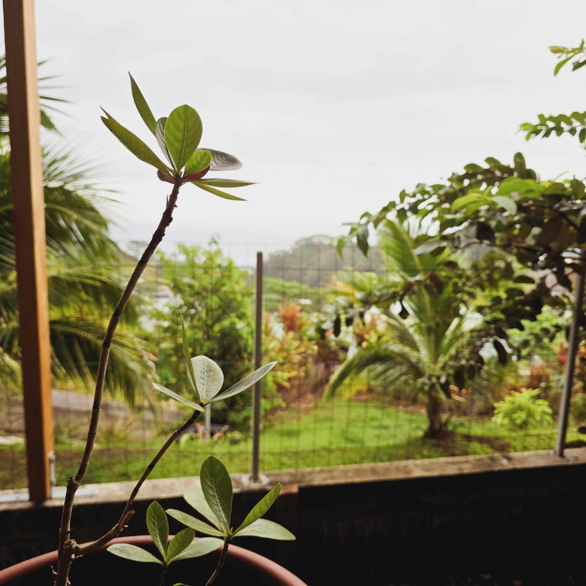 Fare Toahana, Accommodation With A Ocean View Fa'a'ā Extérieur photo